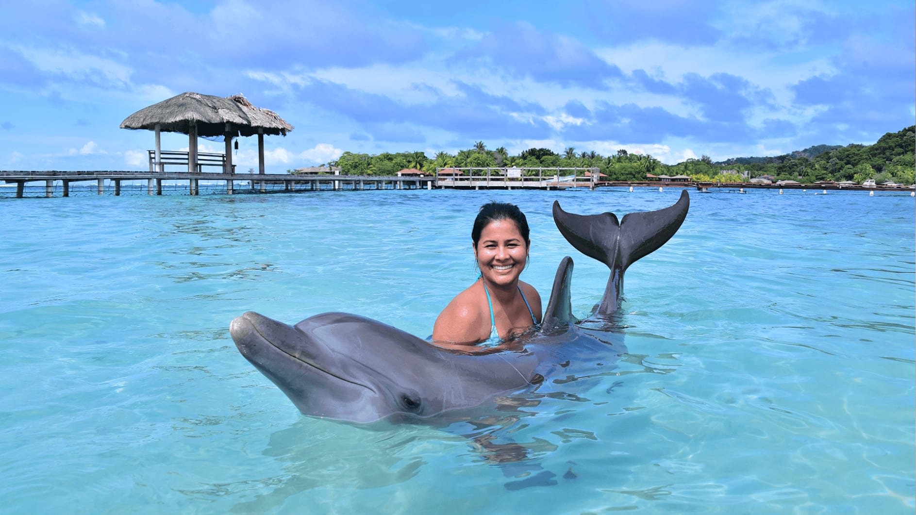Dolphin_Encounters_min_9217798f29